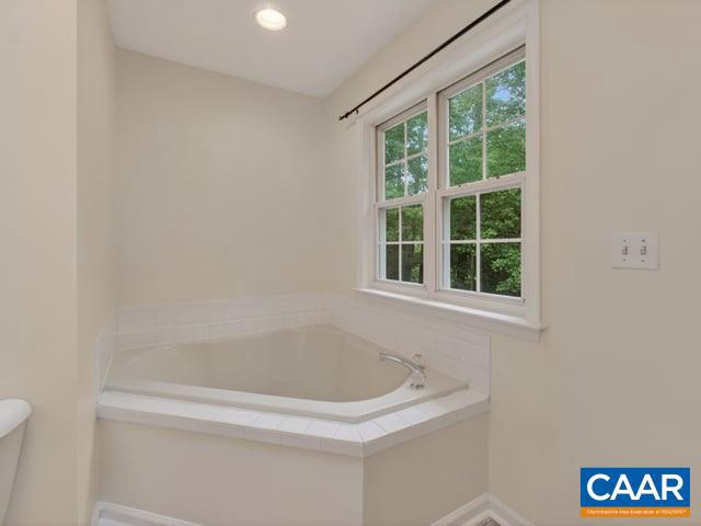 259 Spring Oaks Lane Ruckersville, VA 22968 - Photo 29 of 44