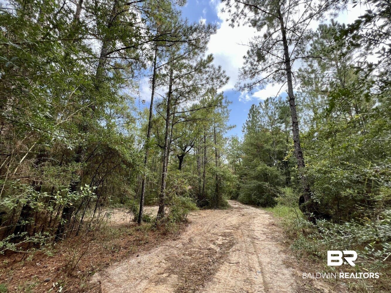 0 Bear Fork Road Mobile, AL 36618 - Photo 46 of 50
