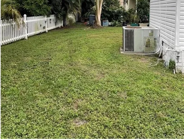 a view of a backyard