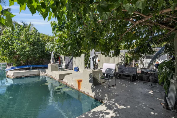 a view of swimming pool with lawn chairs and plants