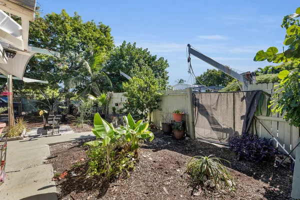 a backyard with potted plants and a large tree