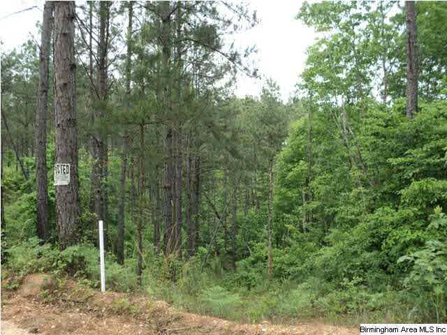 485 County Road, Unit 110 Clanton, AL 35046 - Photo 7 of 22