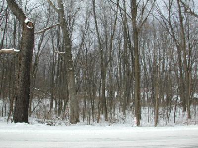 Huntly Road Niles, MI 49120 - Photo 1 of 1 Primary Photo