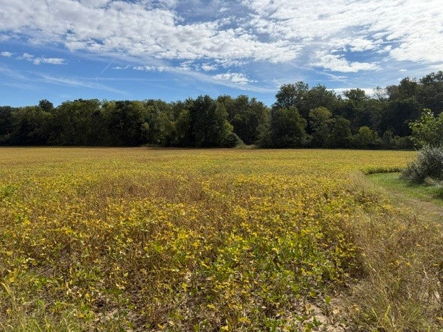 19101 Harrison Street Road Charleston, IL 61920 - Photo 63 of 69 Gallery Image 63