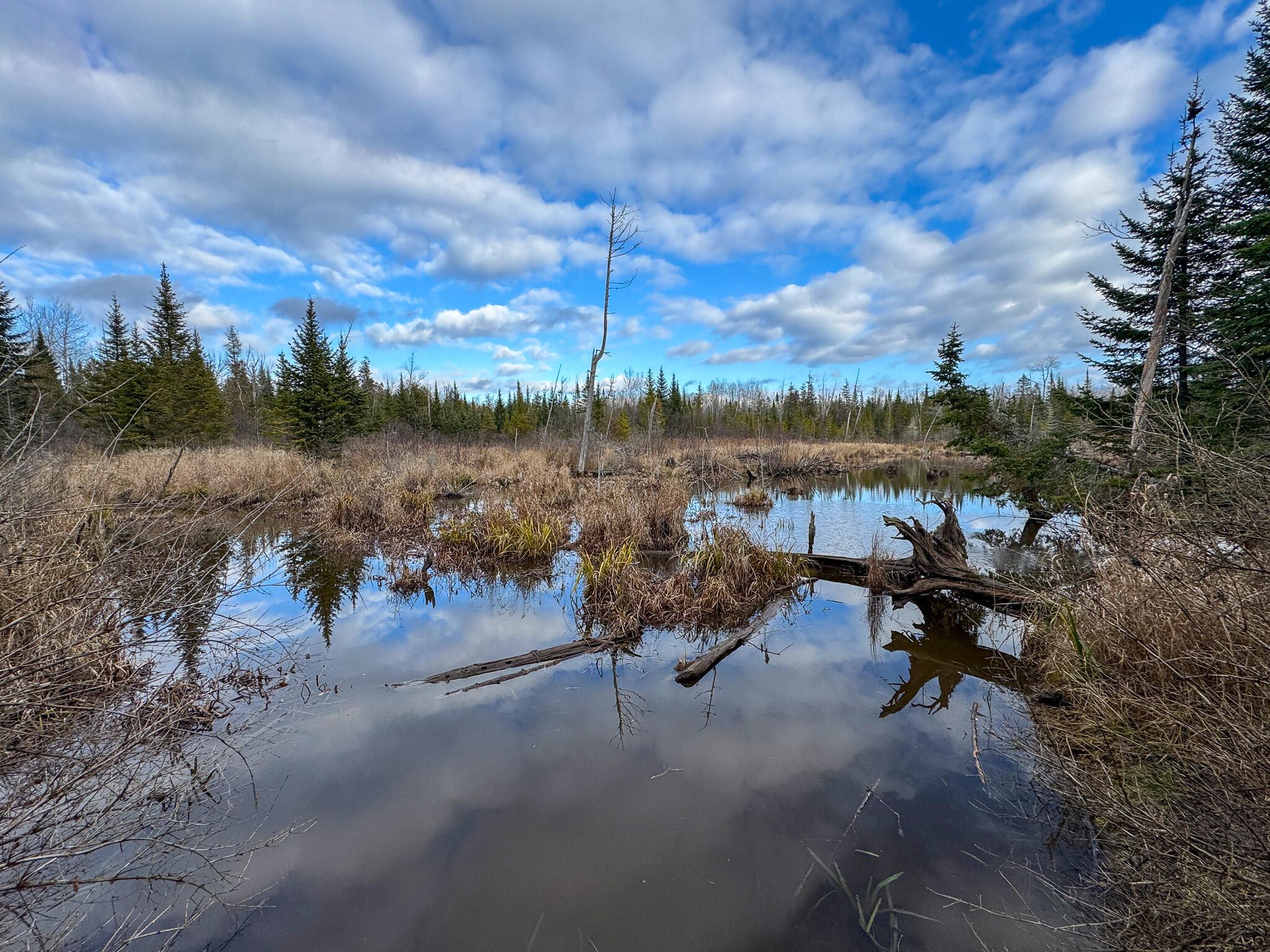 291 River Road Milo, ME 04463 - Photo 40 of 43 39