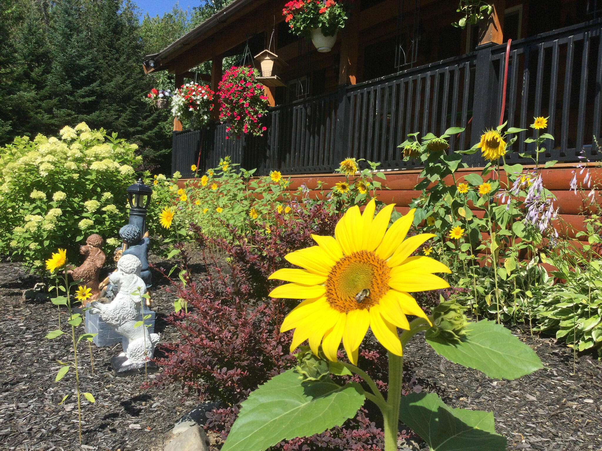 291 River Road Milo, ME 04463 - Photo 42 of 43 41