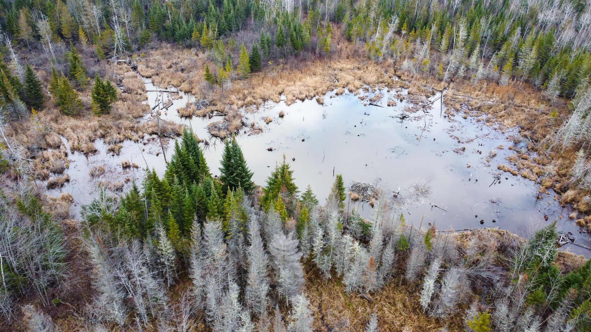 291 River Road Milo, ME 04463 - Photo 6 of 43 6