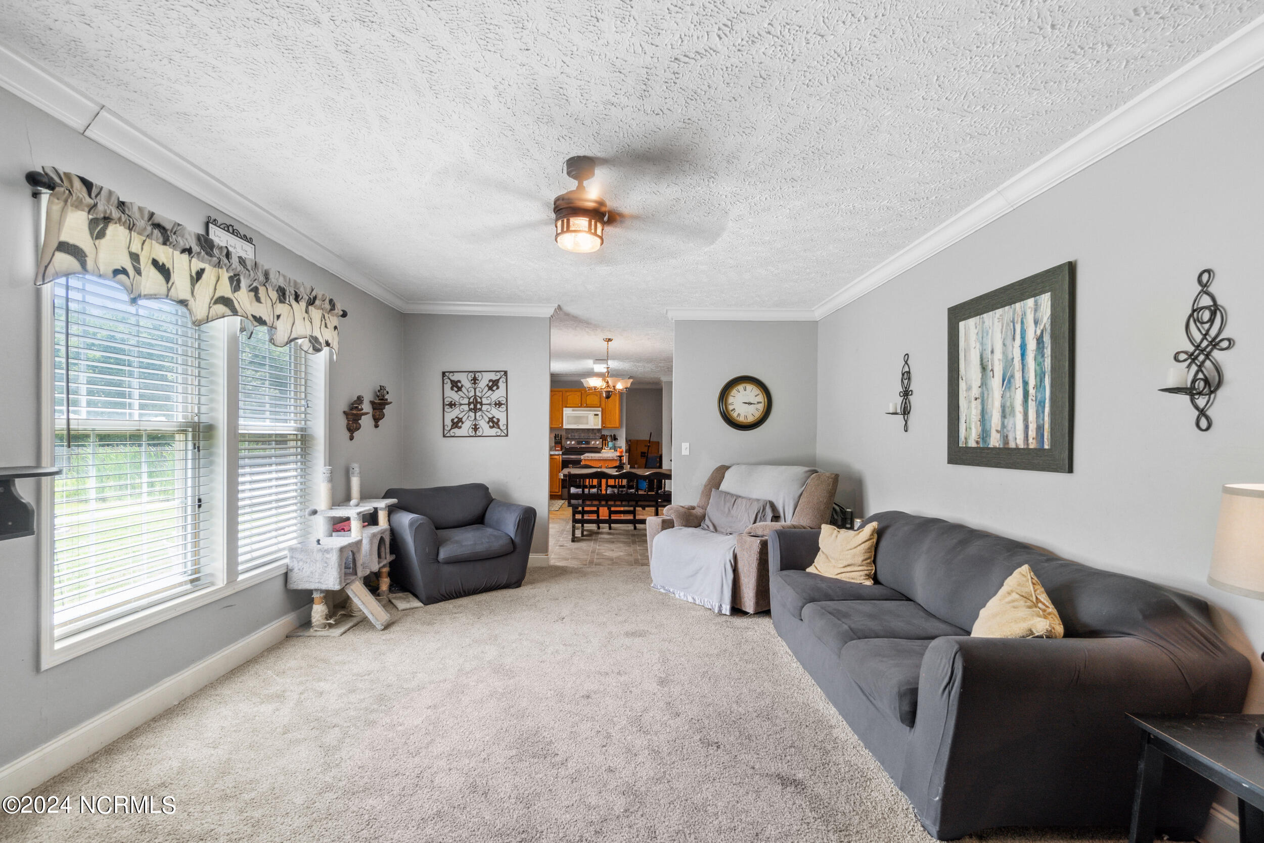 256 Adams Swamp Road Corapeake, NC 27926 - Photo 22 of 45 done_016