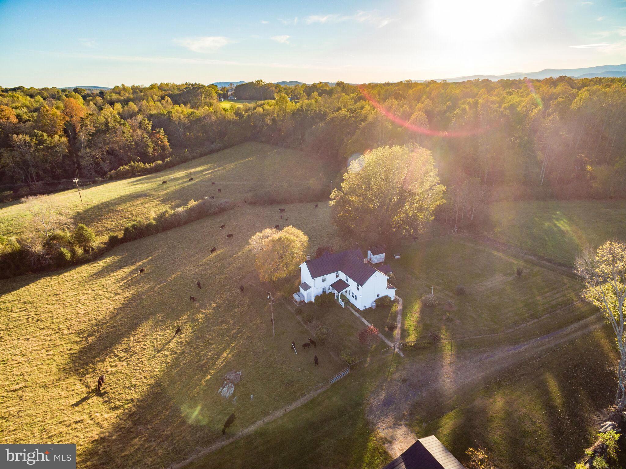 13173 Scotts Mill Road Culpeper, VA 22701 - Photo 1 of 19 View