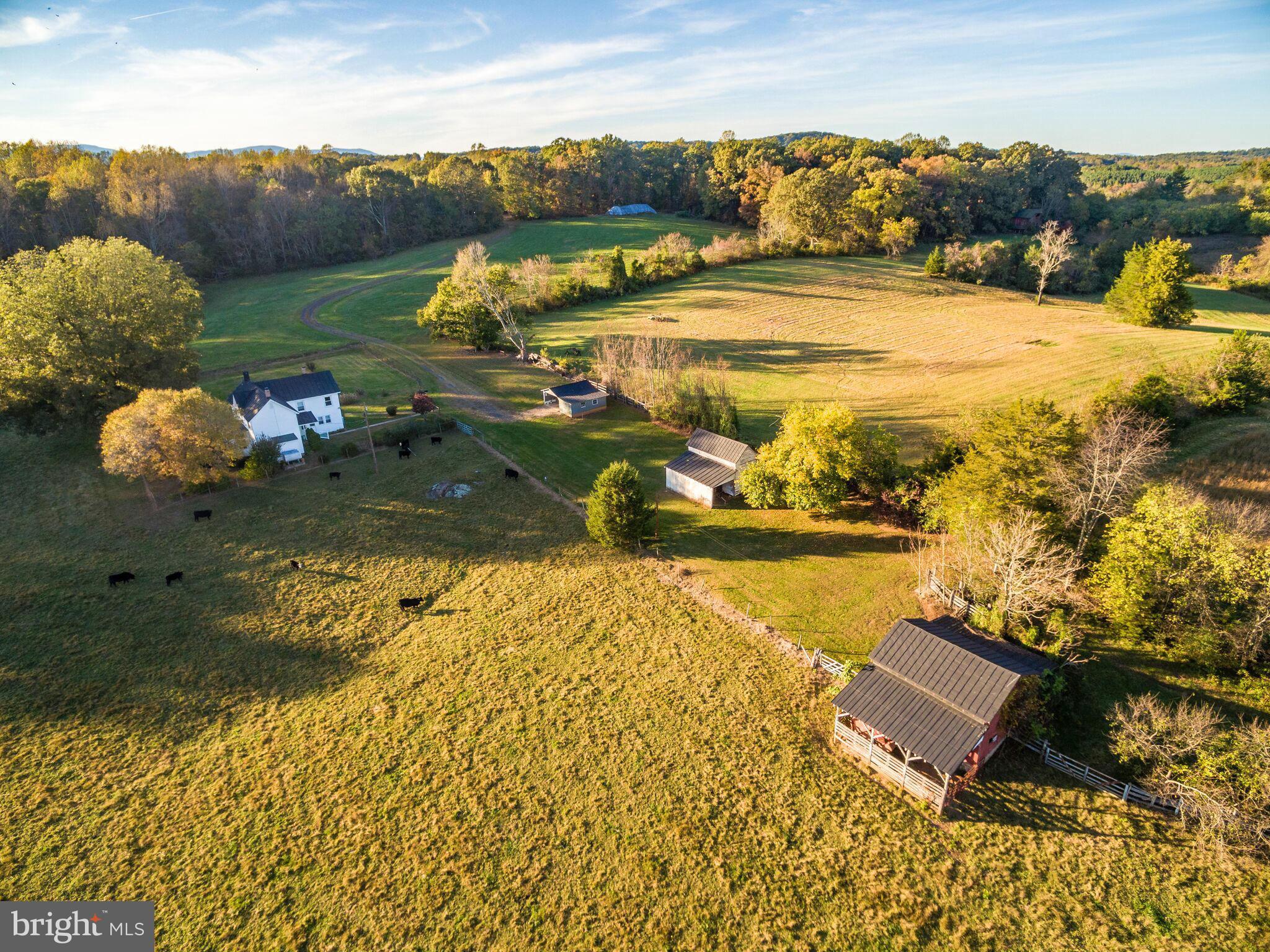 13173 Scotts Mill Road Culpeper, VA 22701 - Photo 3 of 19 View
