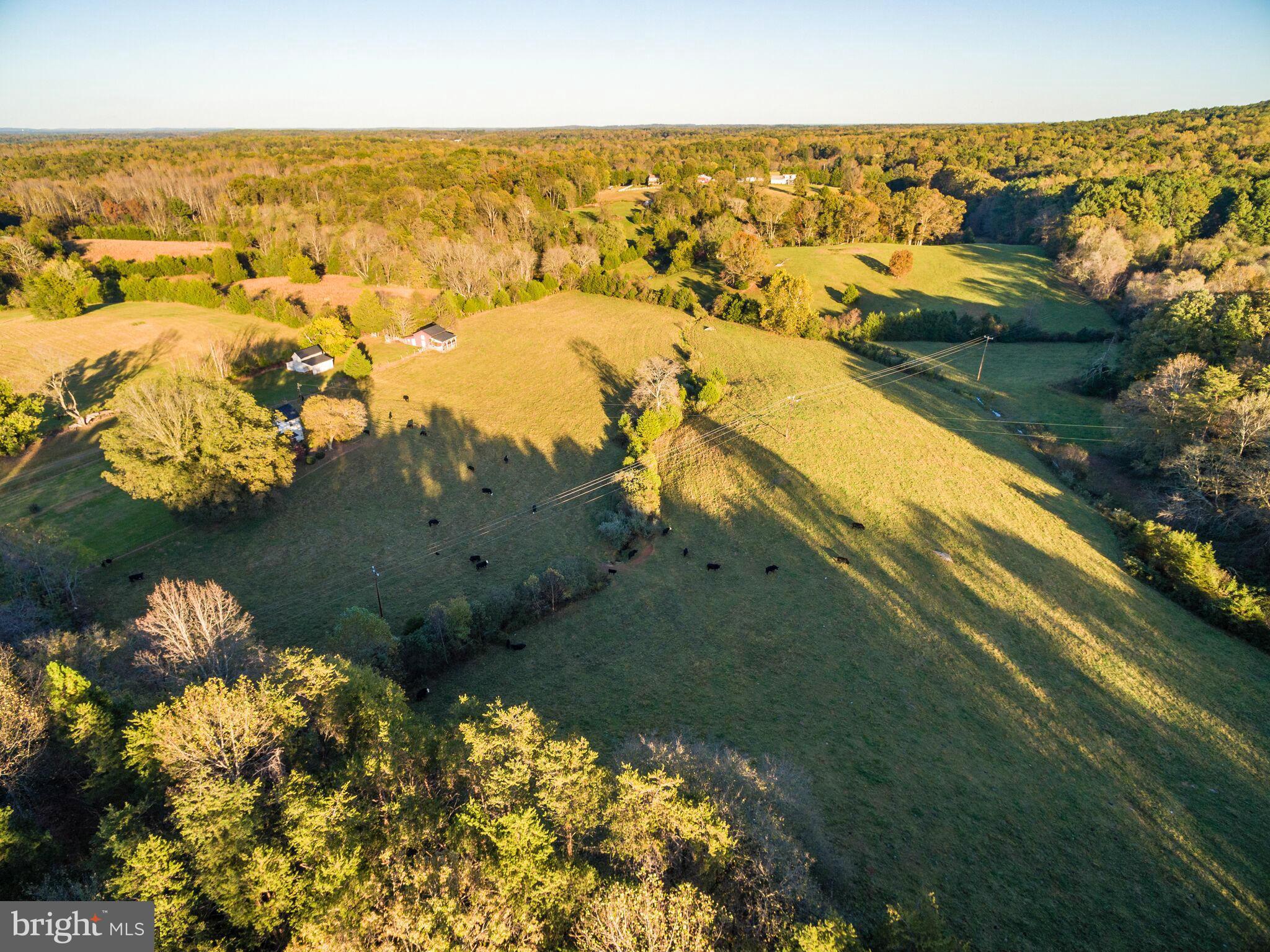 13173 Scotts Mill Road Culpeper, VA 22701 - Photo 5 of 19 View