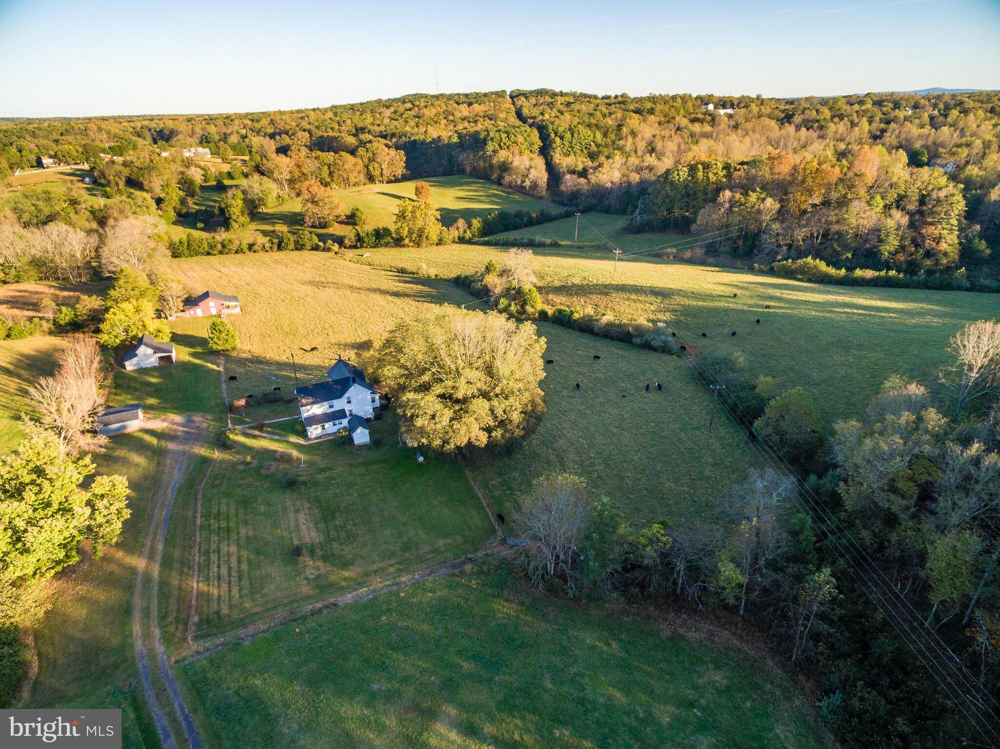 13173 Scotts Mill Road Culpeper, VA 22701 - Photo 6 of 19 View