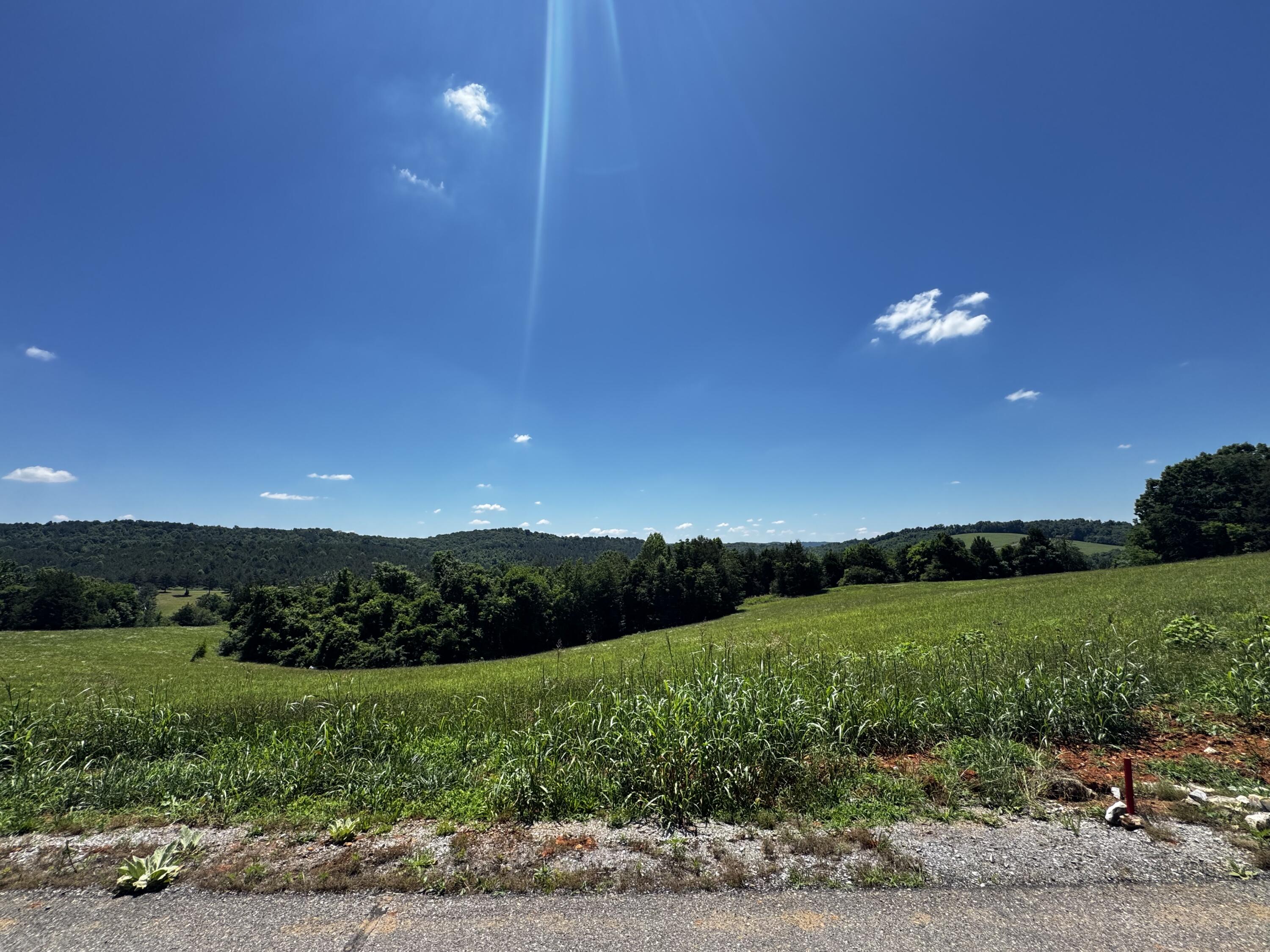 0 The Gates Drive, Unit LOT 44 Decatur, TN 37322 - Photo 3 of 10 IMG_7939