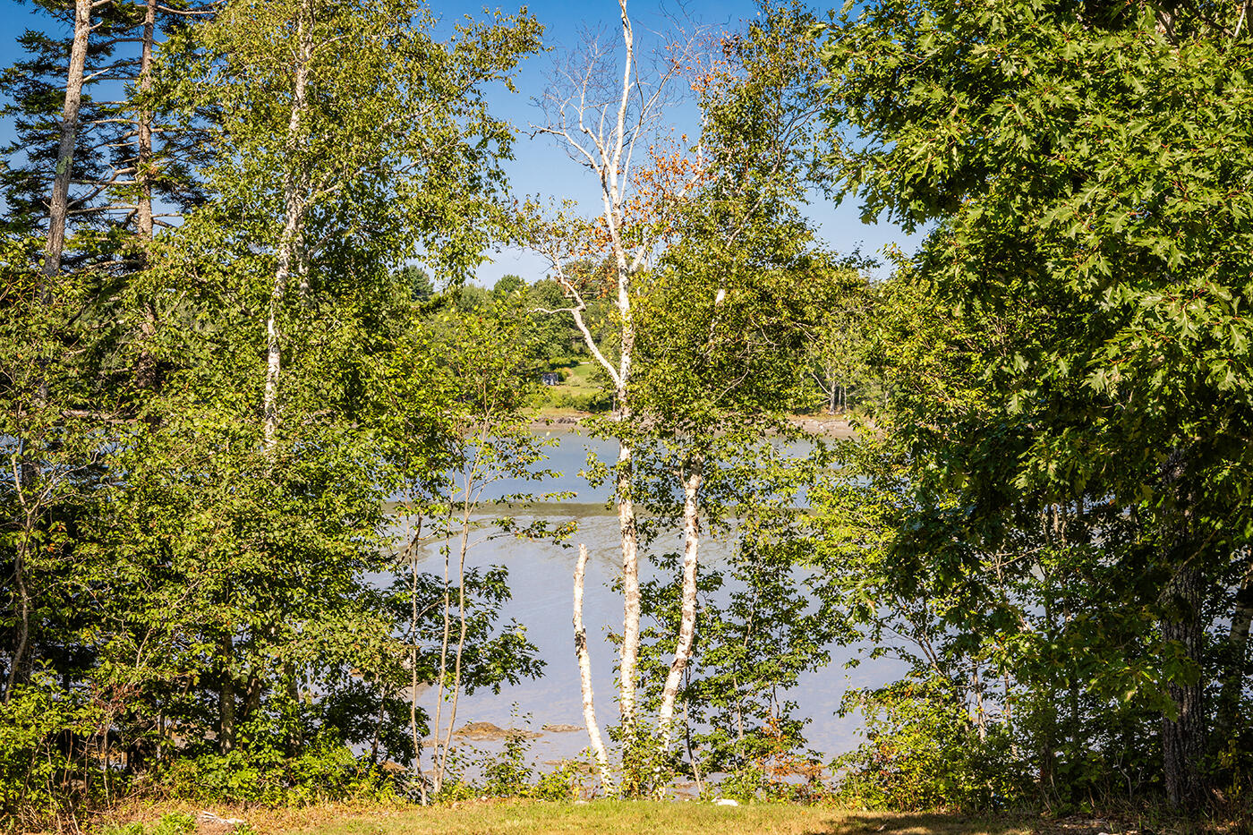 640 River Road Tenants Harbor, ME 04860 - Photo 73 of 75 IMG_9190