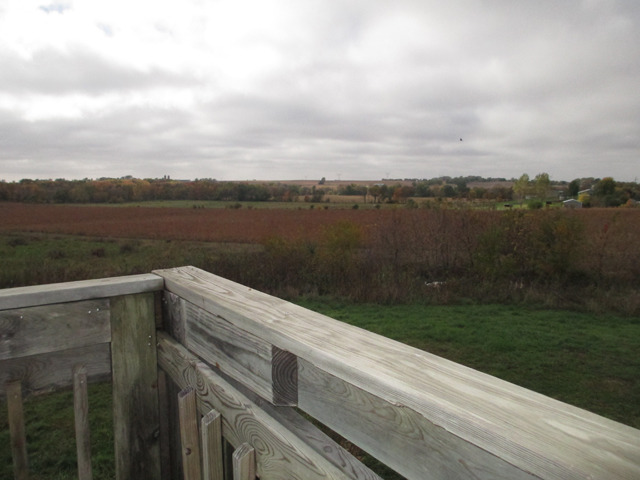 1953 Twist Road Franklin Grove, IL 61031 - Photo 12 of 16 a view of a lake from a yard