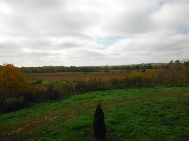 1953 Twist Road Franklin Grove, IL 61031 - Photo 14 of 16 a view of a lake from a yard
