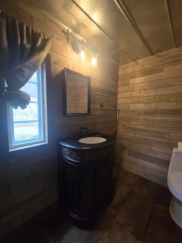 a bathroom with a toilet a sink and mirror
