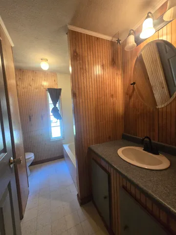 a bathroom with a sink a toilet and mirror