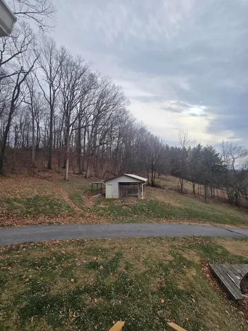 a front view of a house with a yard garage and trees