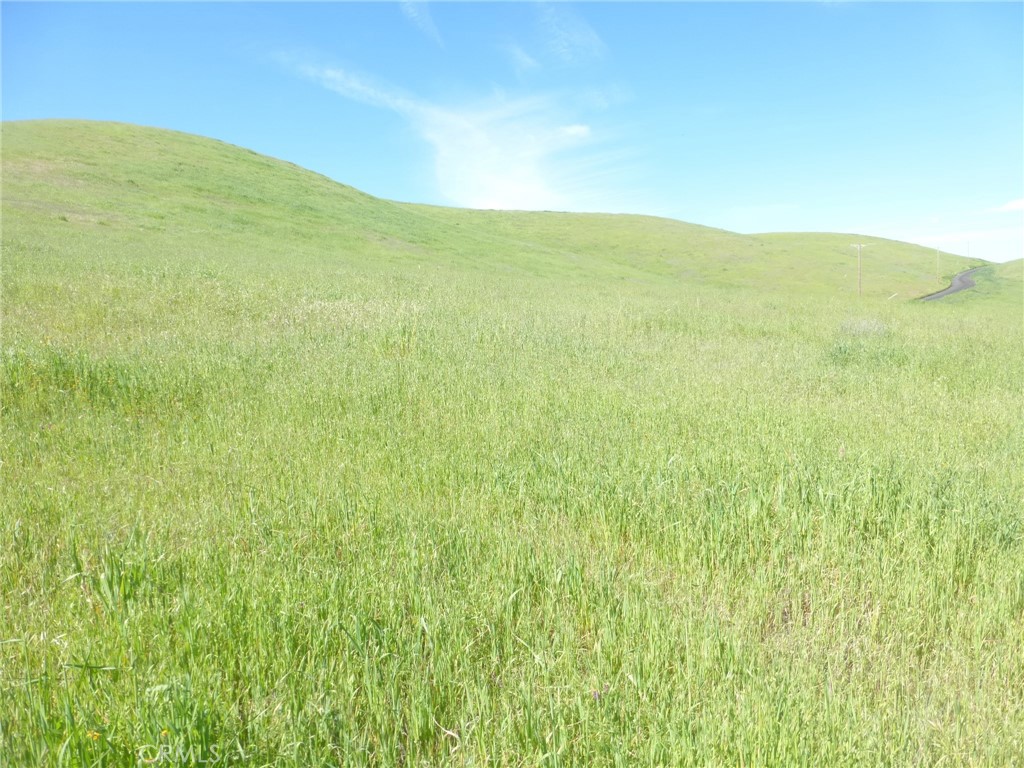 0 Douglas Road San Miguel, CA 93451 - Photo 65 of 75