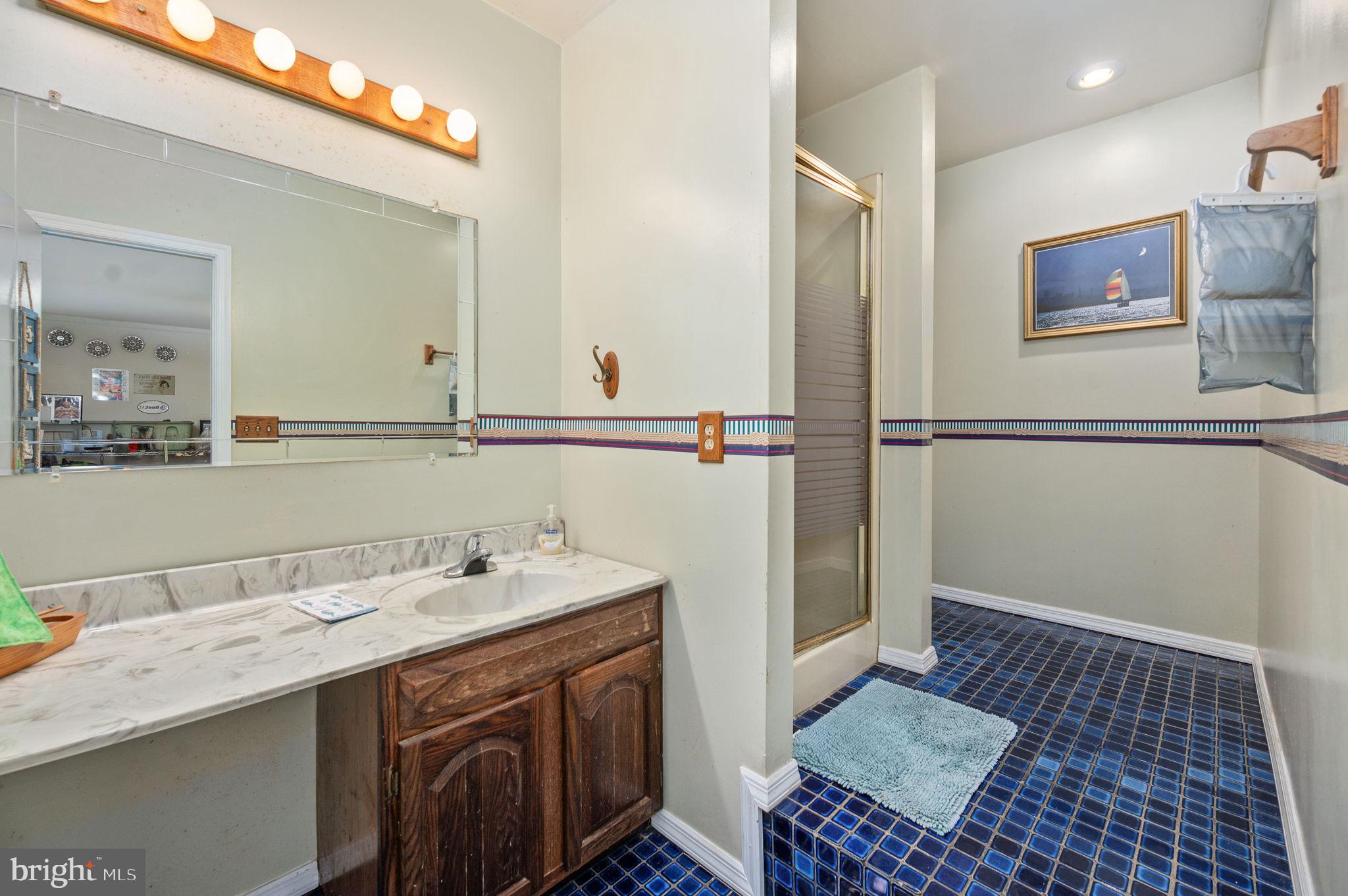 11105 Waddell Road Bumpass, VA 23024 - Photo 57 of 76 a bathroom with a sink a mirror and a shower