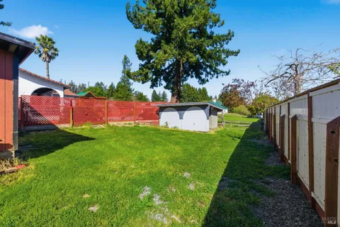 a view of a backyard with potted plants and large tree