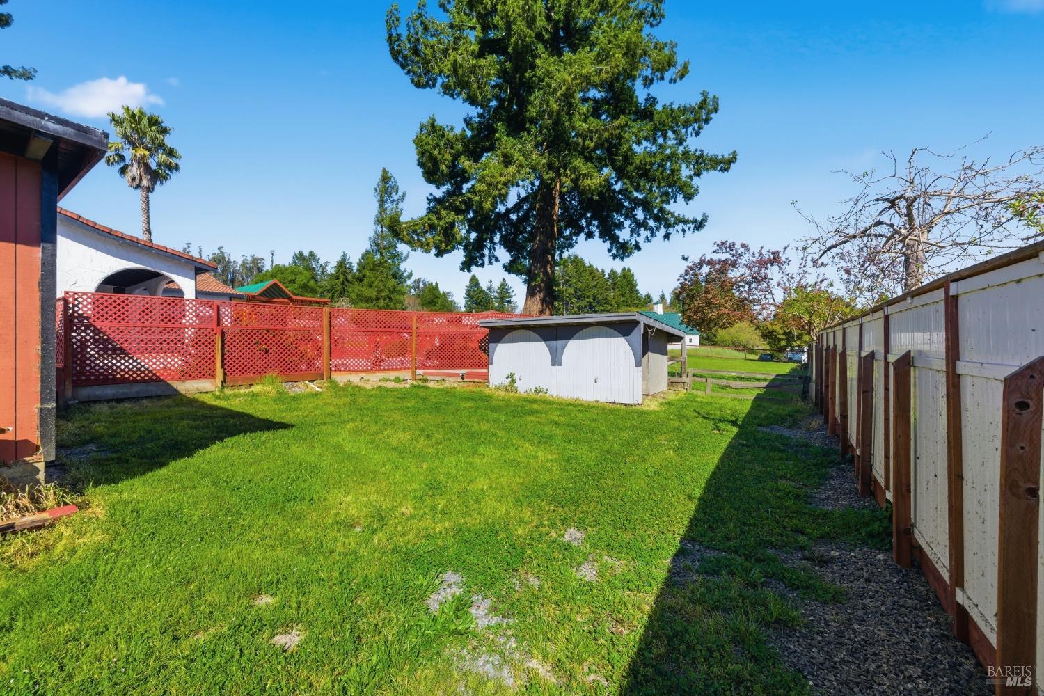 5174 Blank Road Sebastopol, CA 95472 - Photo 36 of 48 a view of a backyard with potted plants
