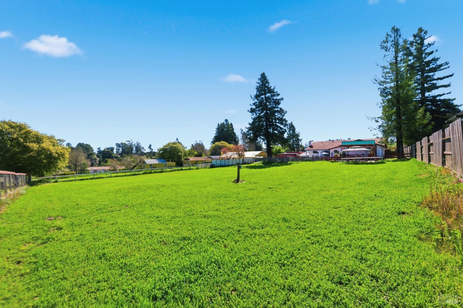5174 Blank Road Sebastopol, CA 95472 - Photo 39 of 48 a view of yard with grass & house