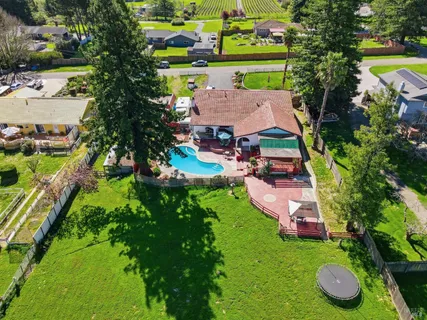 an aerial view of a house with a yard and a large tree
