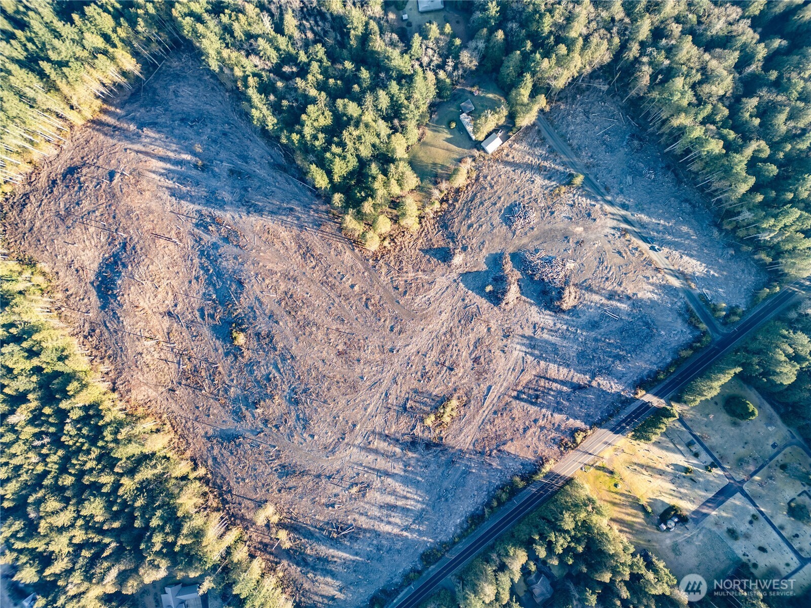 0 Northeast Mountain View Road Poulsbo, WA 98370 - Photo 12 of 17 a view of the tree