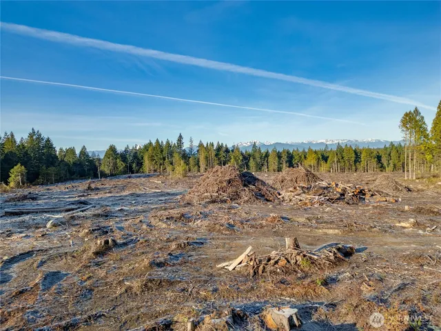 a view of a dry yard with wooden fence