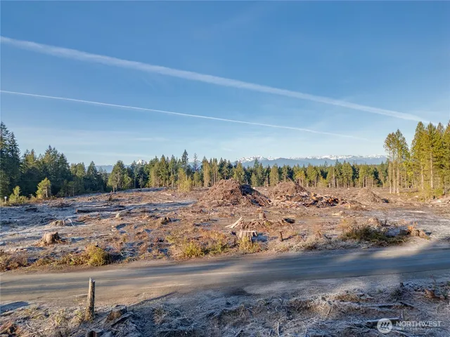 a view of a dry yard with wooden fence