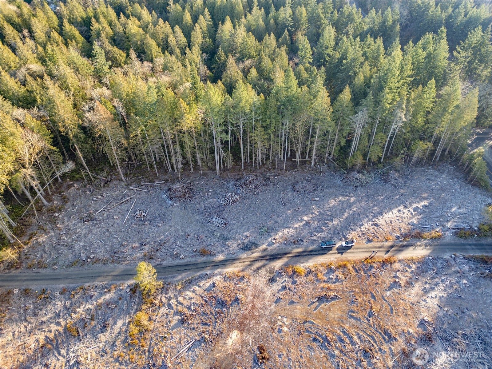 0 Northeast Mountain View Road Poulsbo, WA 98370 - Photo 9 of 17 a view of a yard with a tree