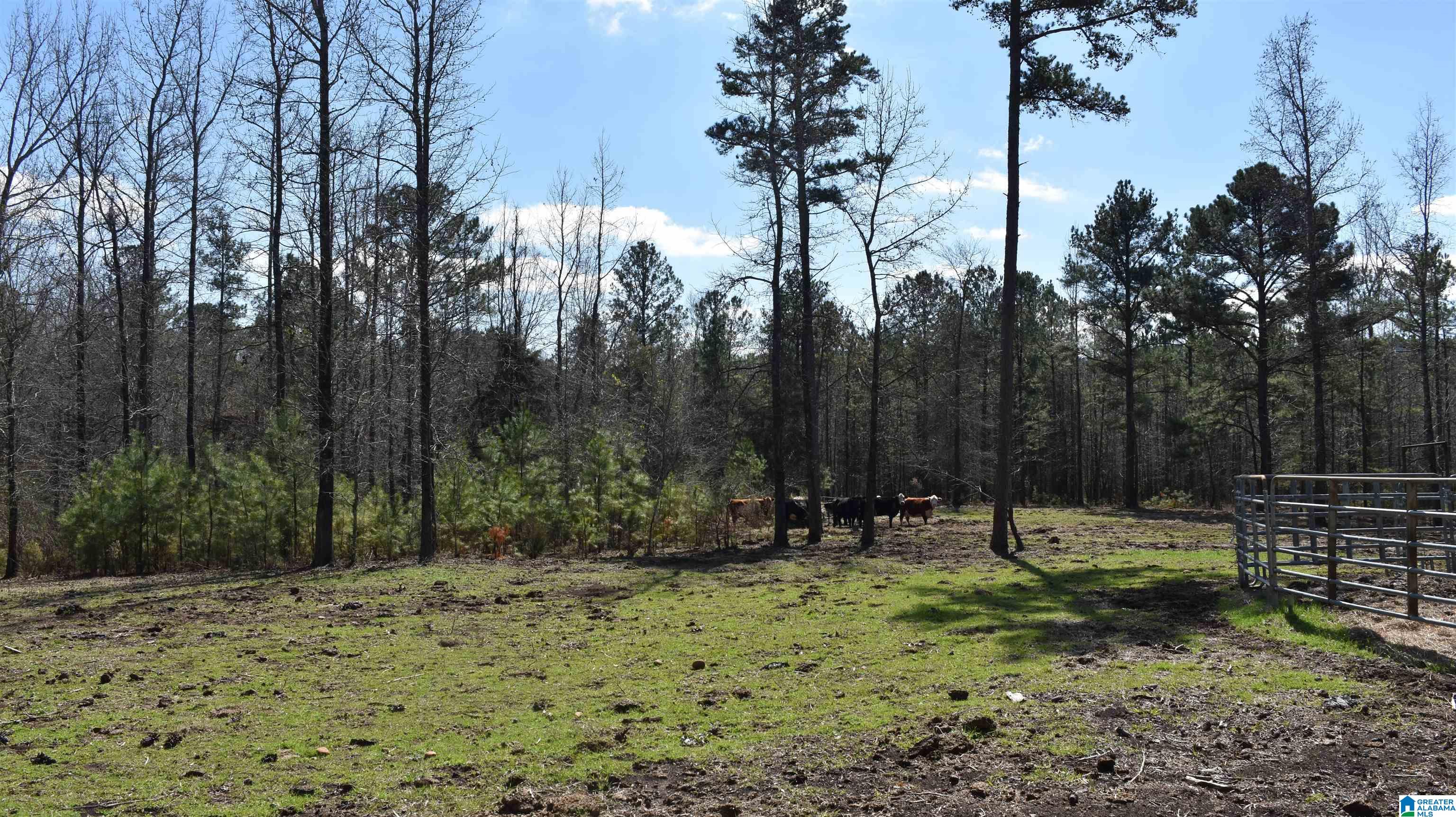 2003 New Maryland Road Alpine, AL 35014 - Photo 29 of 38