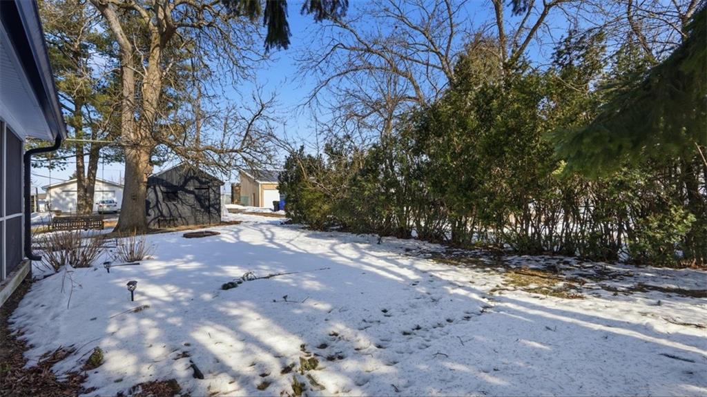 1105 Linden Street Monaca, PA 15061 - Photo 44 of 45 a view of a yard with plants and trees