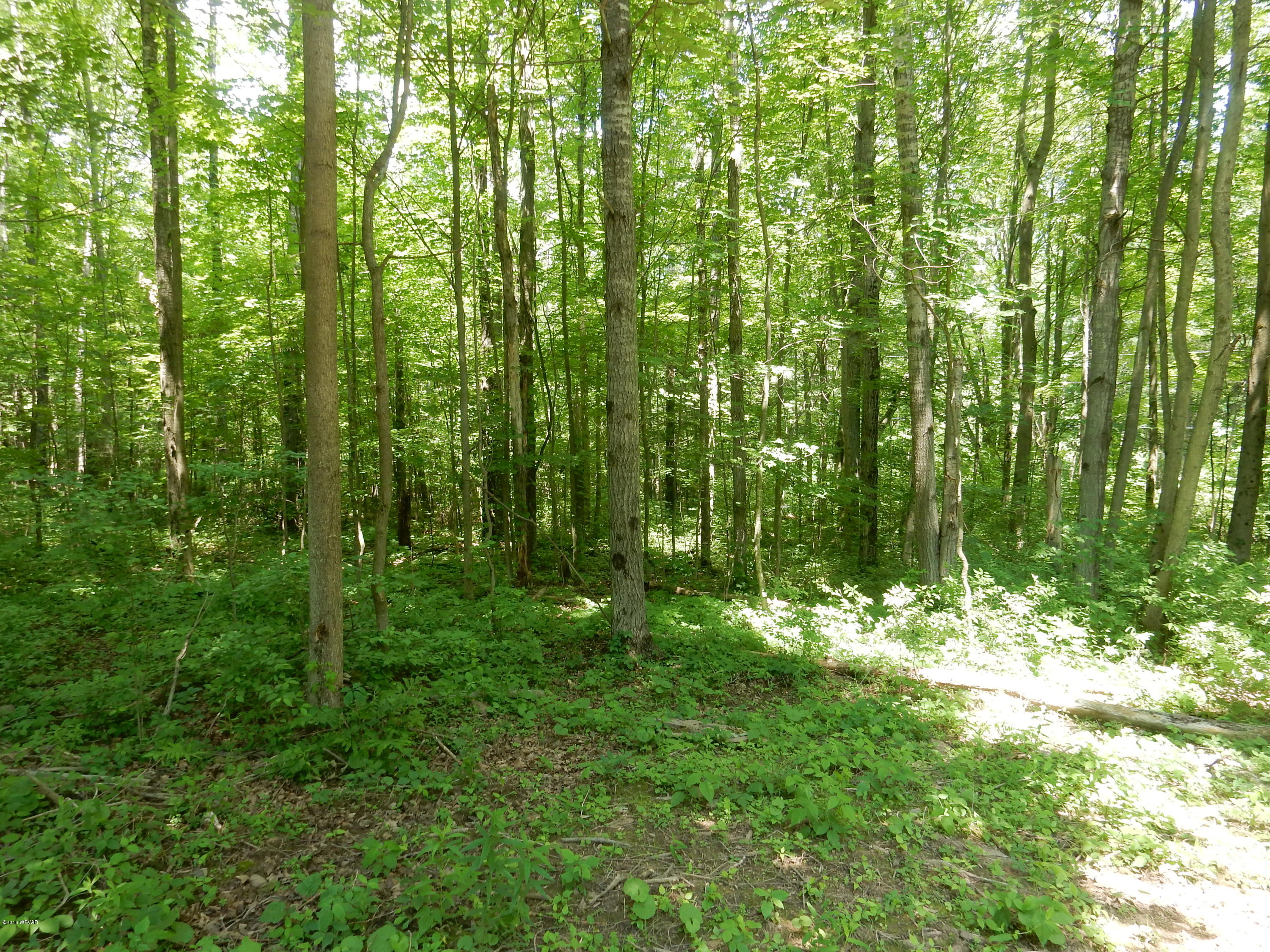 100 Walsh Road Dushore, PA 18614 - Photo 15 of 27 DSCN5824
