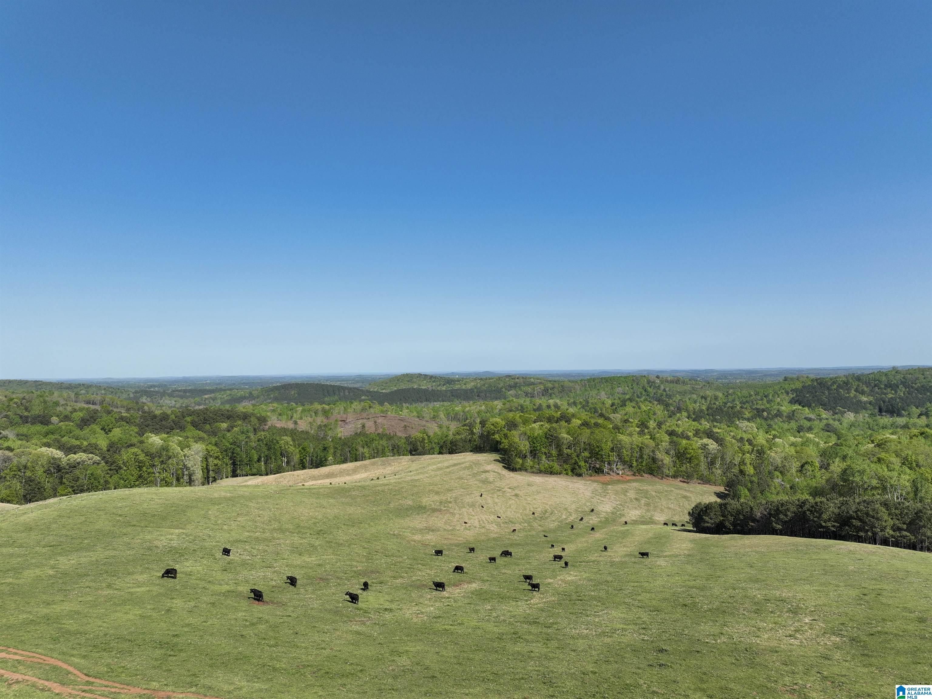 130 Kelly Road Ashland, AL 36251 - Photo 55 of 66