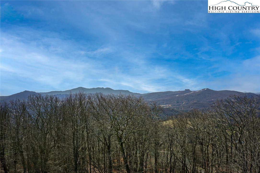 510 Elderberry Ridge Road, Unit F101 Banner Elk, NC 28604 - Photo 18 of 19 Gallery Image 18