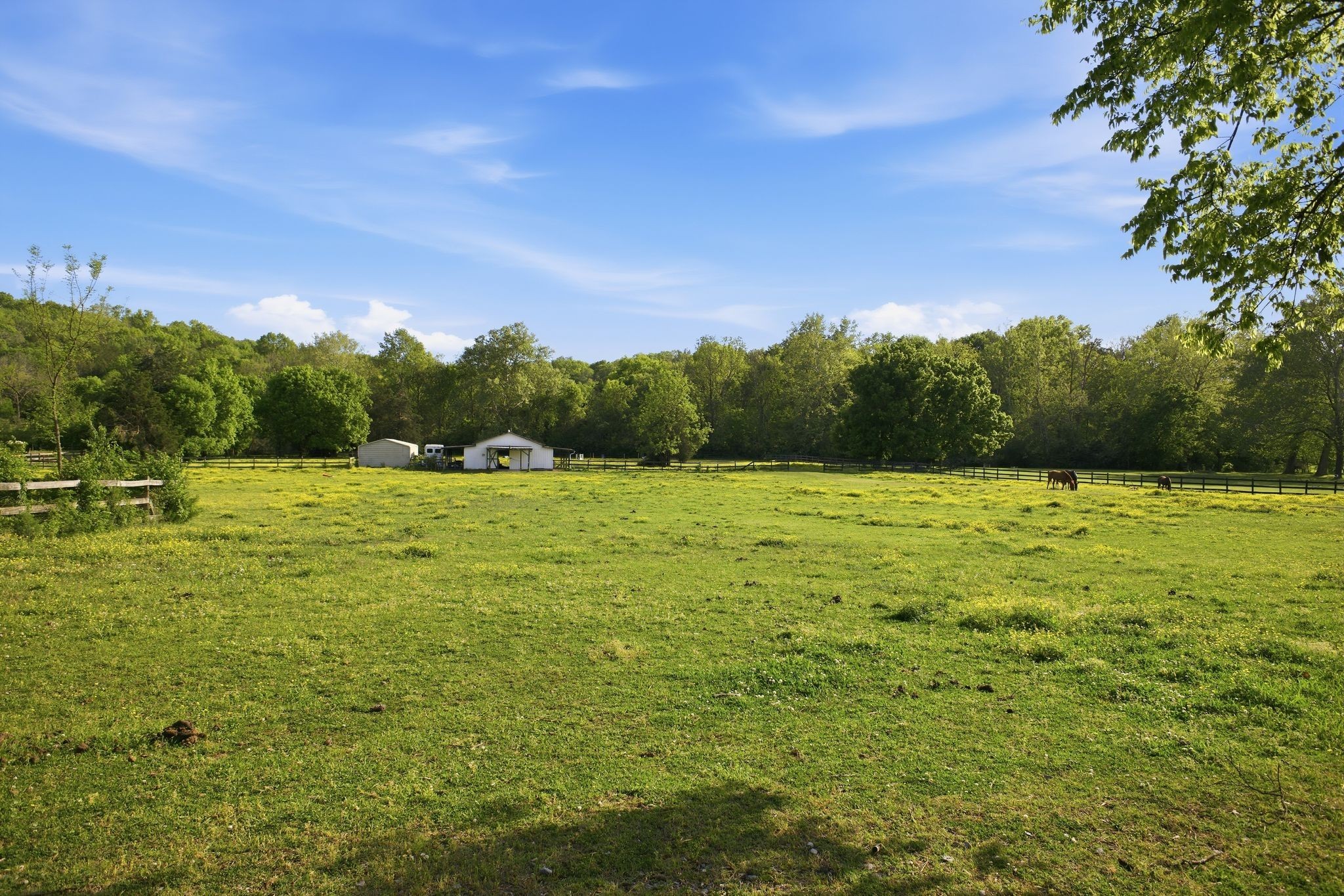 6515 Holt Road Nashville, TN 37211 - Photo 30 of 31