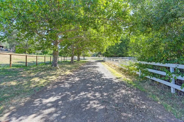 a view of a yard with wooden fence