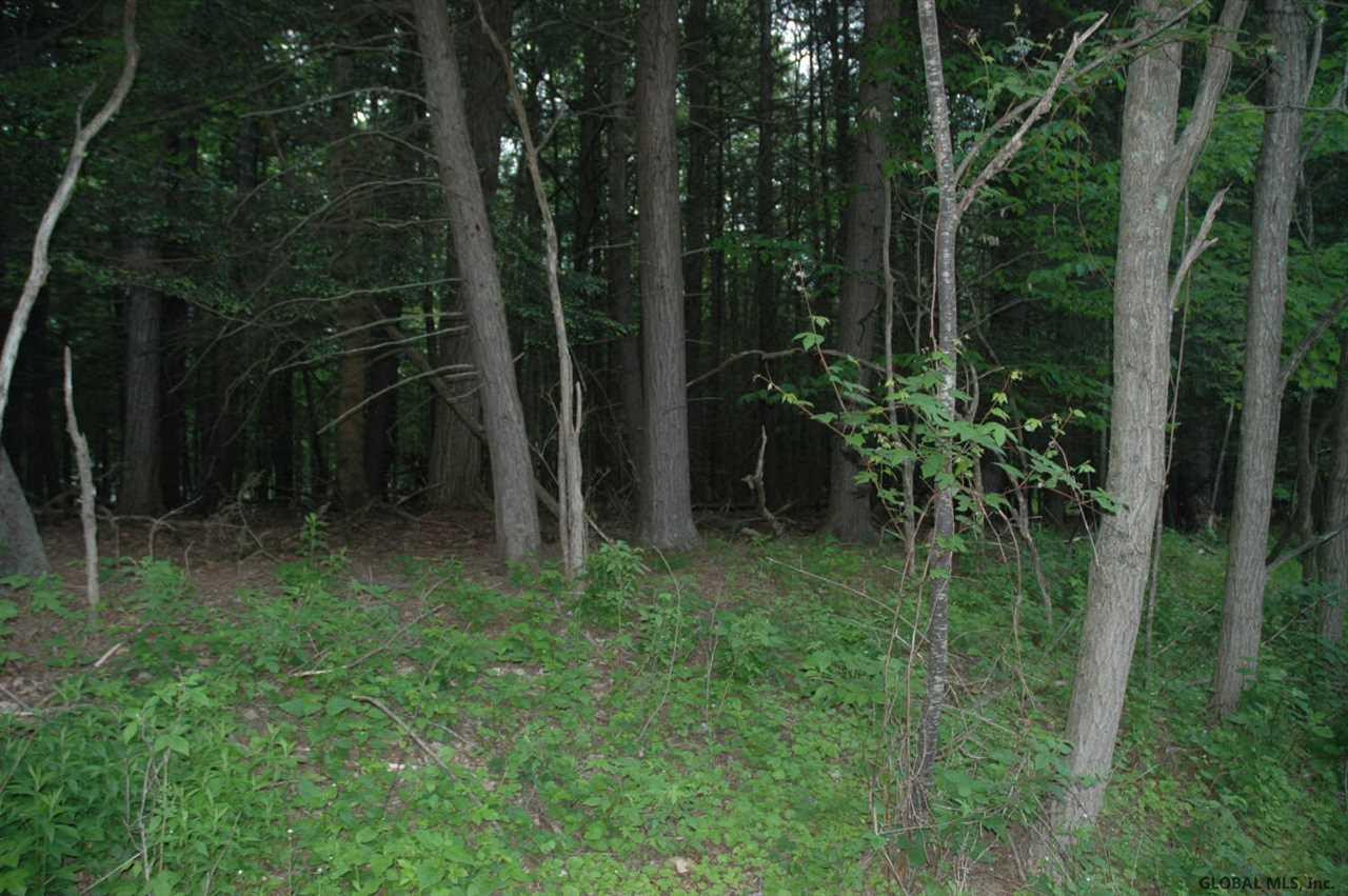 Crystal Point Road Cairo, NY 12413 - Photo 3 of 4 Photo 3