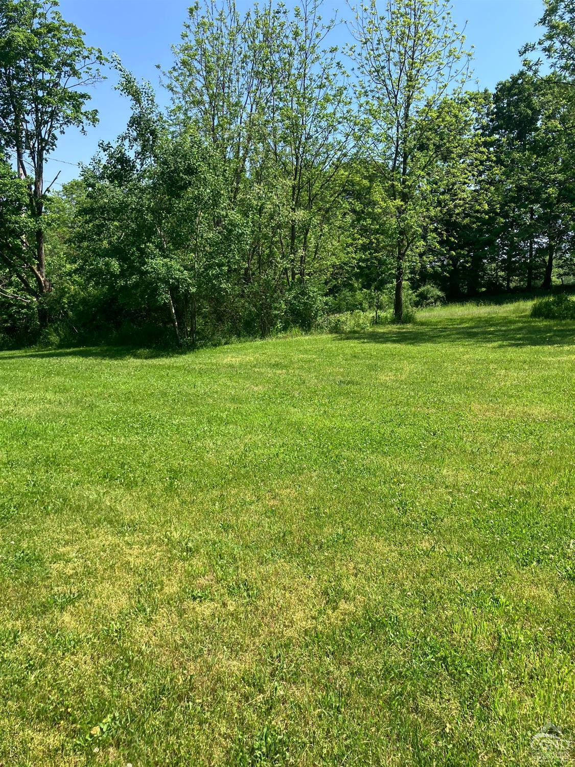 305 Cairo Junction Road Catskill, NY 12414 - Photo 8 of 34 a view of outdoor space with deck and yard