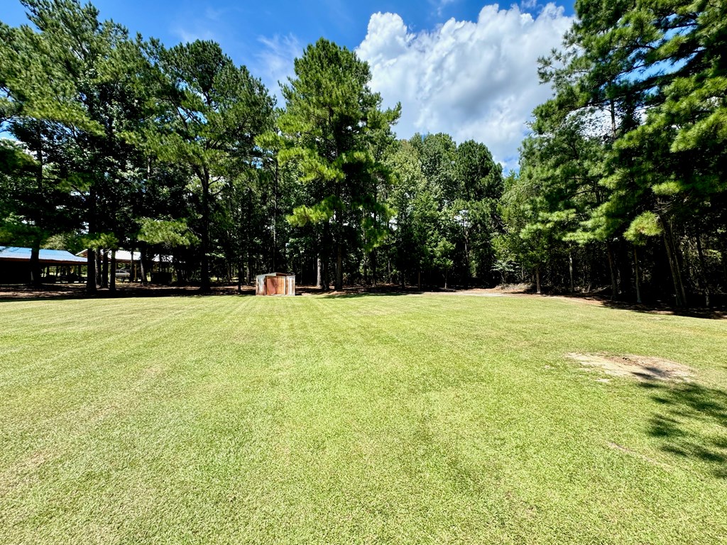 331 Spring Hill Road Dothan, AL 36301 - Photo 10 of 28