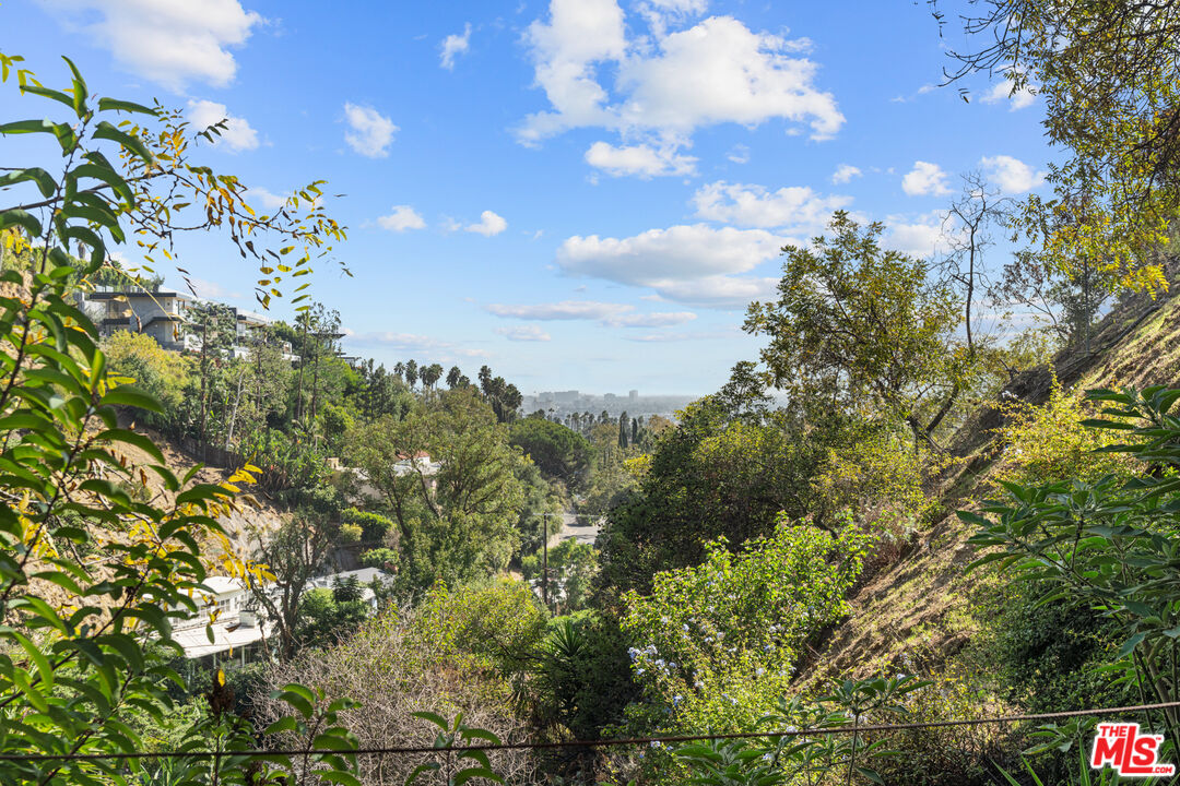 1853 Nichols Canyon Road Los Angeles, CA 90046 - Photo 43 of 48 a view of a bunch of trees
