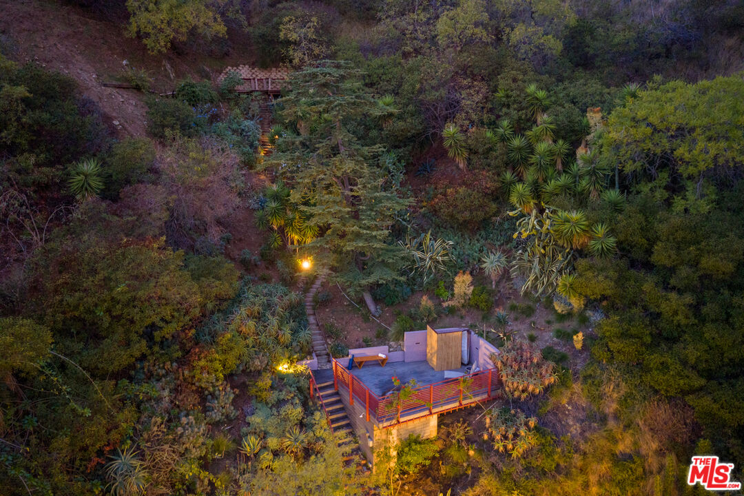 1853 Nichols Canyon Road Los Angeles, CA 90046 - Photo 44 of 48 a view of a backyard with plants and outdoor seating