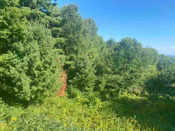 $125,000 | 35365 Old Orchard Lane, Bayfield, WI 54814