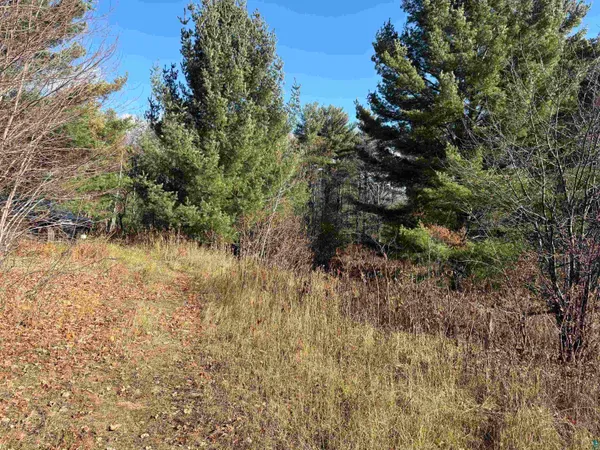 $125,000 | 35365 Old Orchard Lane, Bayfield, WI 54814