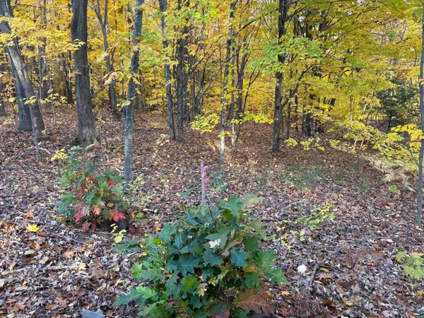 $125,000 | 35365 Old Orchard Lane, Bayfield, WI 54814