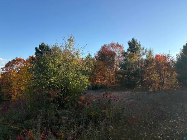 $125,000 | 35365 Old Orchard Lane, Bayfield, WI 54814