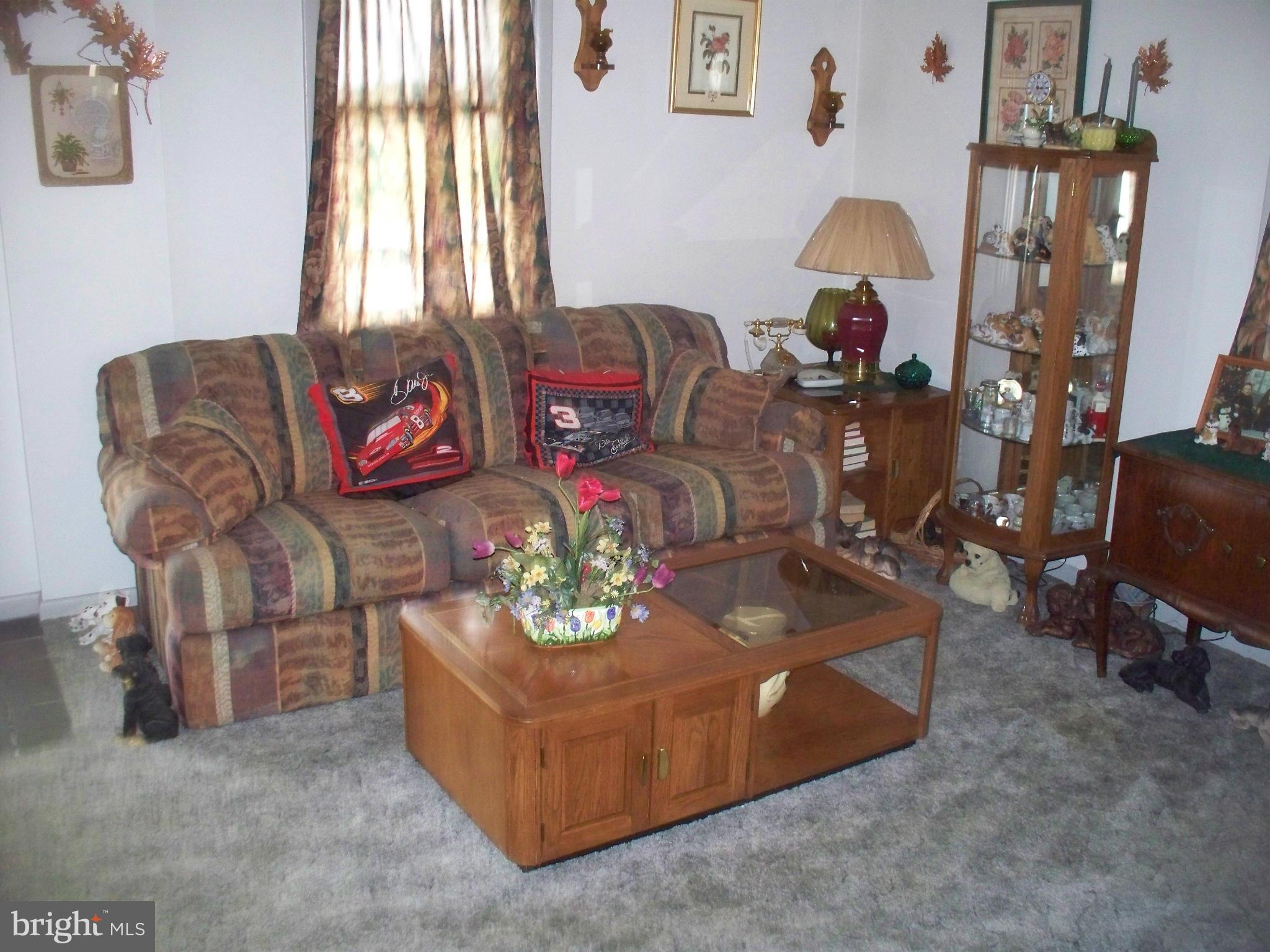 10117 Hummingbird Street Ellerslie, MD 21529 - Photo 14 of 30 Living Room